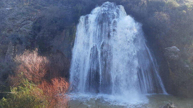 Нахаль-Аюн. Фото: Шай Корен, пресс-служба Управления национальных парков и парков (צילום: שי קורן רשות הטבע והגנים) Нахаль-Аюн. Фото: Шай Корен, пресс-служба Управления национальных парков и парков
