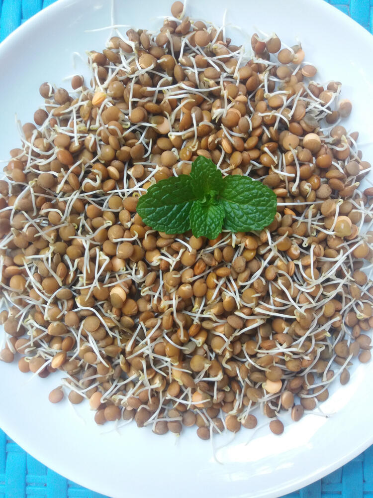 Sprouting: a significant nutritional upgrade 