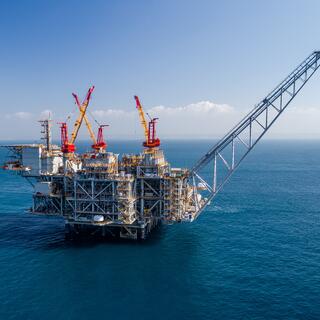 אסדת לווייתן