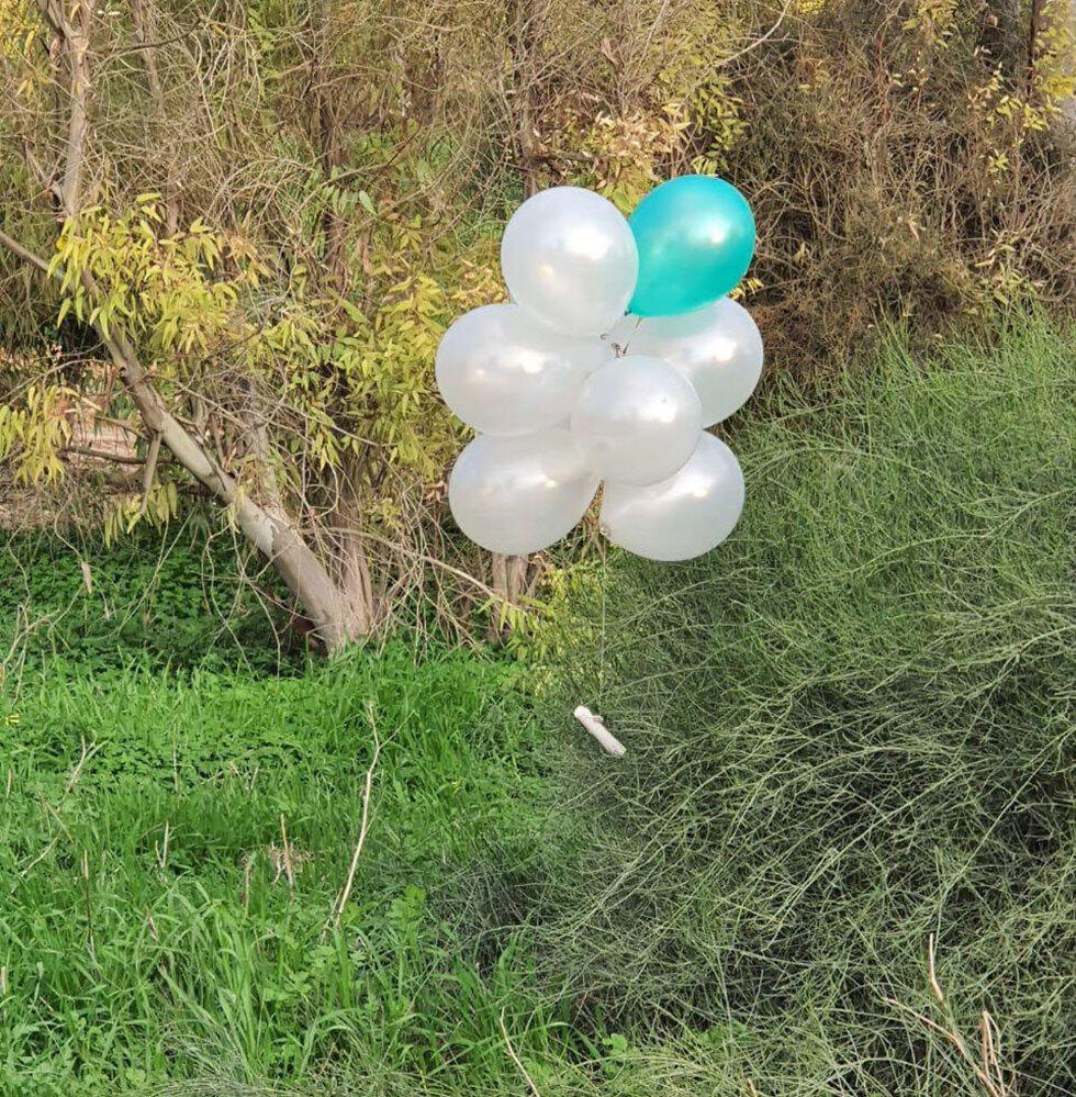 Фото: служба безопасности