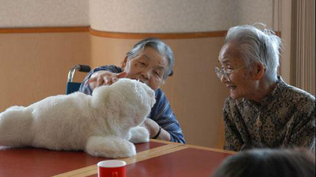 Робот Паро. Фото: пресс-служба (Фото: пресс-служба) Робот Паро. Фото: пресс-служба