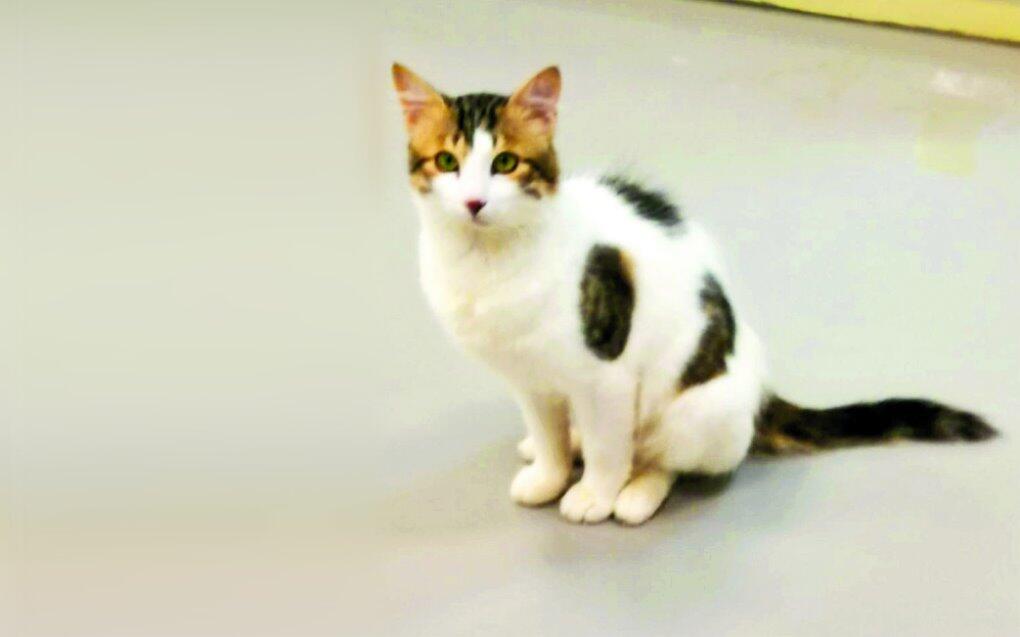 Дуду. Фото из частного альбомаnullnull Дуду. Фото из частного альбома