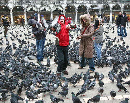 Венеция. Фото: Anatol Tyshkevich shutterstock