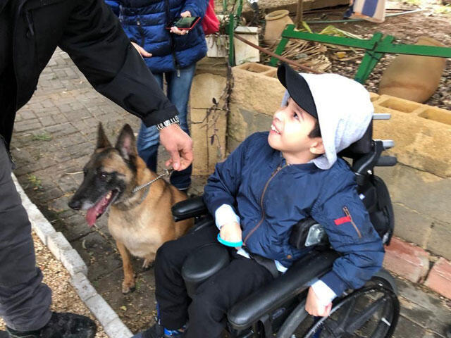 В гостях у кинологов. Фото: пресс-служба полиции (Фото: пресс-служба полиции) В гостях у кинологов. Фото: пресс-служба полиции