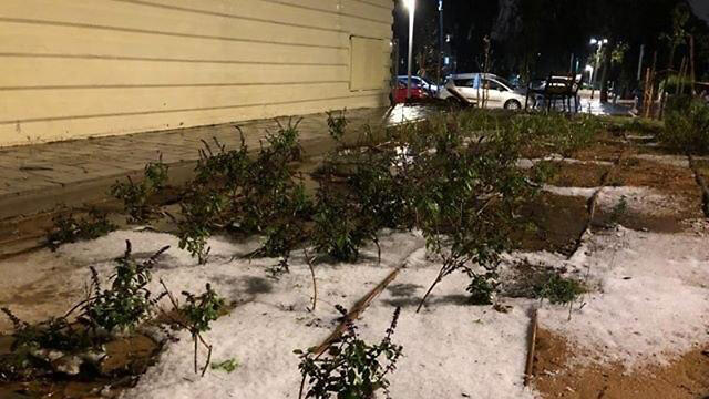 Град в Тель-Авиве. Фото: Идан Амига (צילום: עידן אמיגה) Град в Тель-Авиве. Фото: Идан Амига