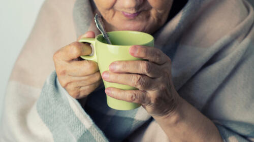 Фото: shutterstock