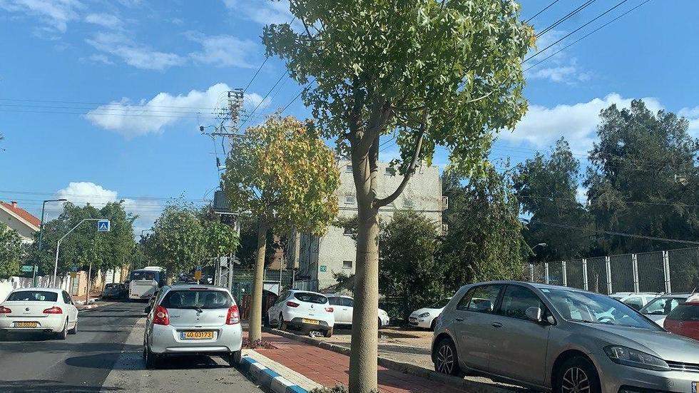 Общежитие для медперсонала больницы "Шиба"