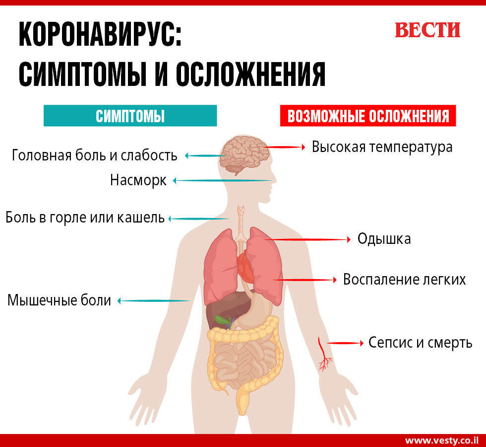 Вести