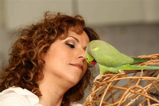 קוקי ושירלי פרקש תוכי 
