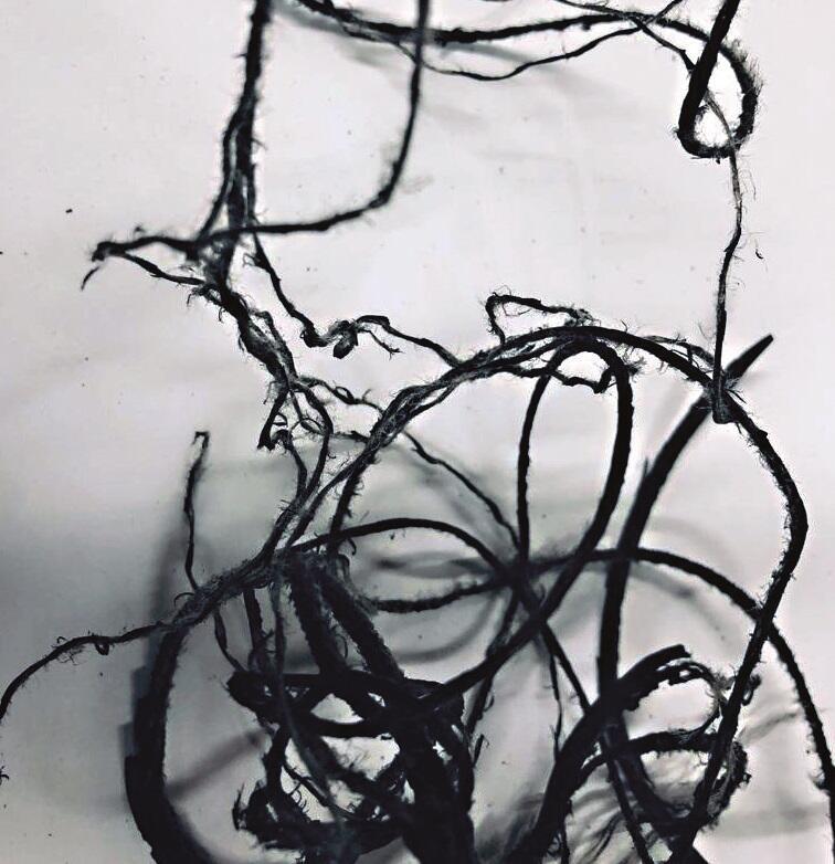 Так выглядят провода в автомобилях, поврежденные крысами. Фото из личного альбома