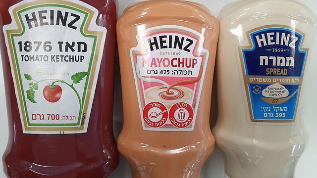 Майочуп и его "компаньоны". Фото: Мейрав Кристал