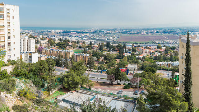 Нешер. Фото: shutterstock (צילום: shutterstock) Нешер. Фото: shutterstock