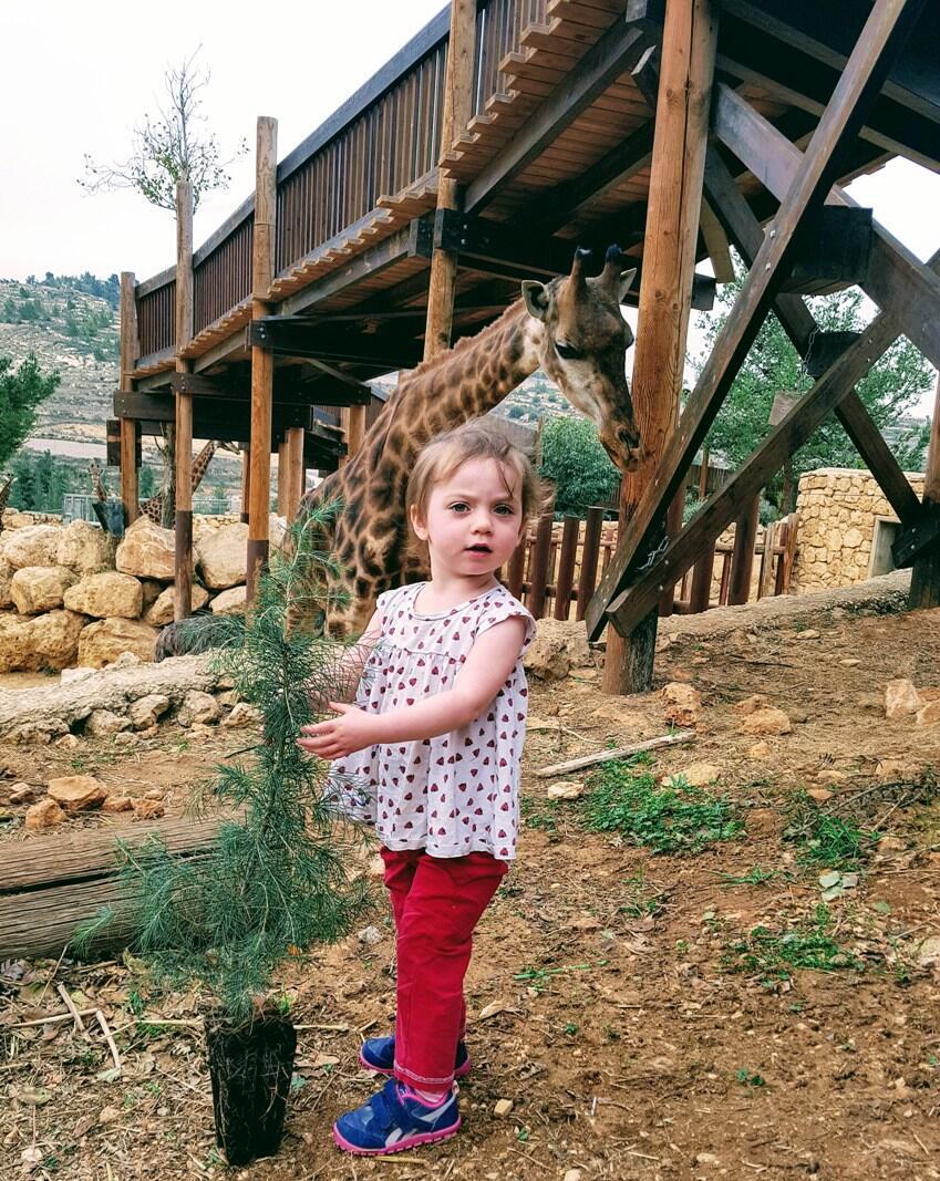 ט"ו בשבט בגן החיות התנ"כי