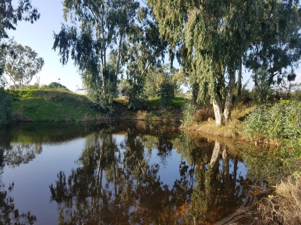 בריכות החורף חולון ותל אביב