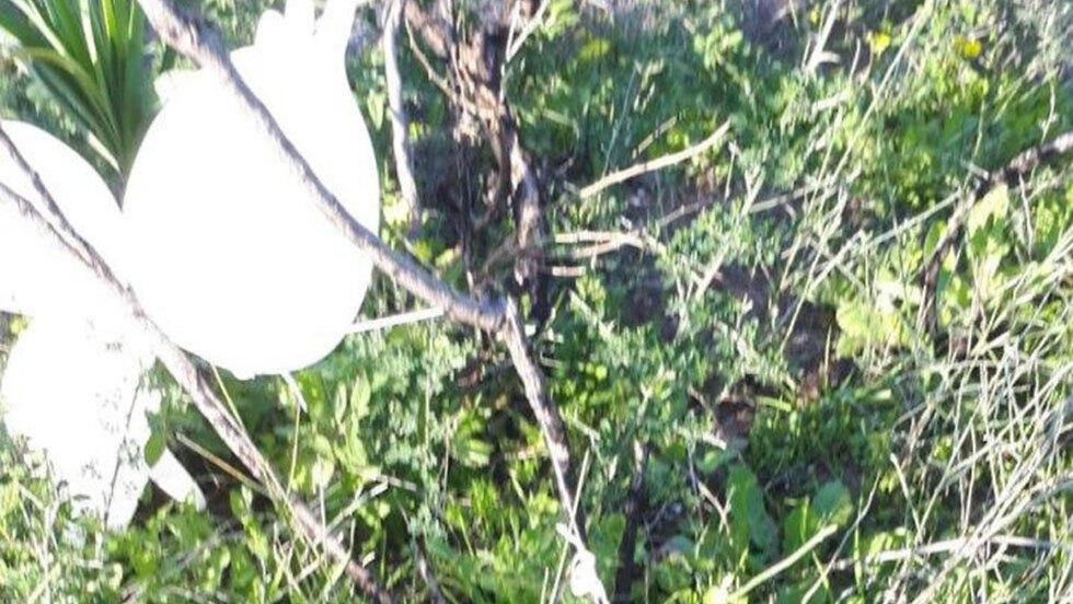 בלוני הנפץ שנמצאו באזור המועצה האיזורית חוף אשקלון