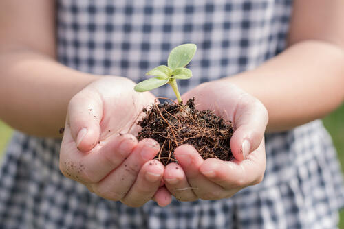 Фото: shutterstock