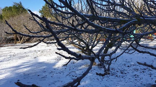 Эль-Ром. Фото: Моти Фиада