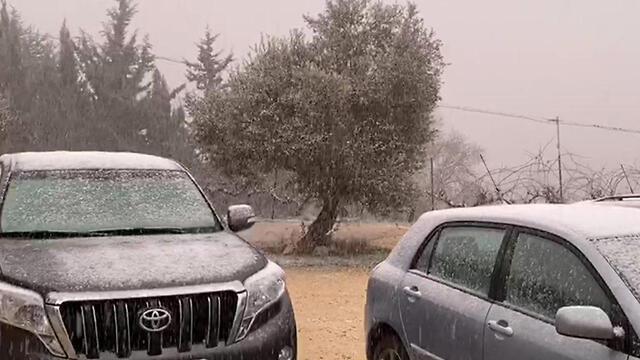 Снег в Галилее. Фото: Хила Боджо