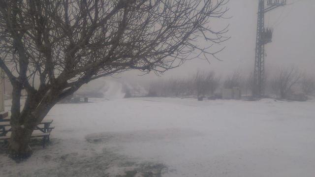 Эйн-Зив. Фото: Хагай Драйлингер