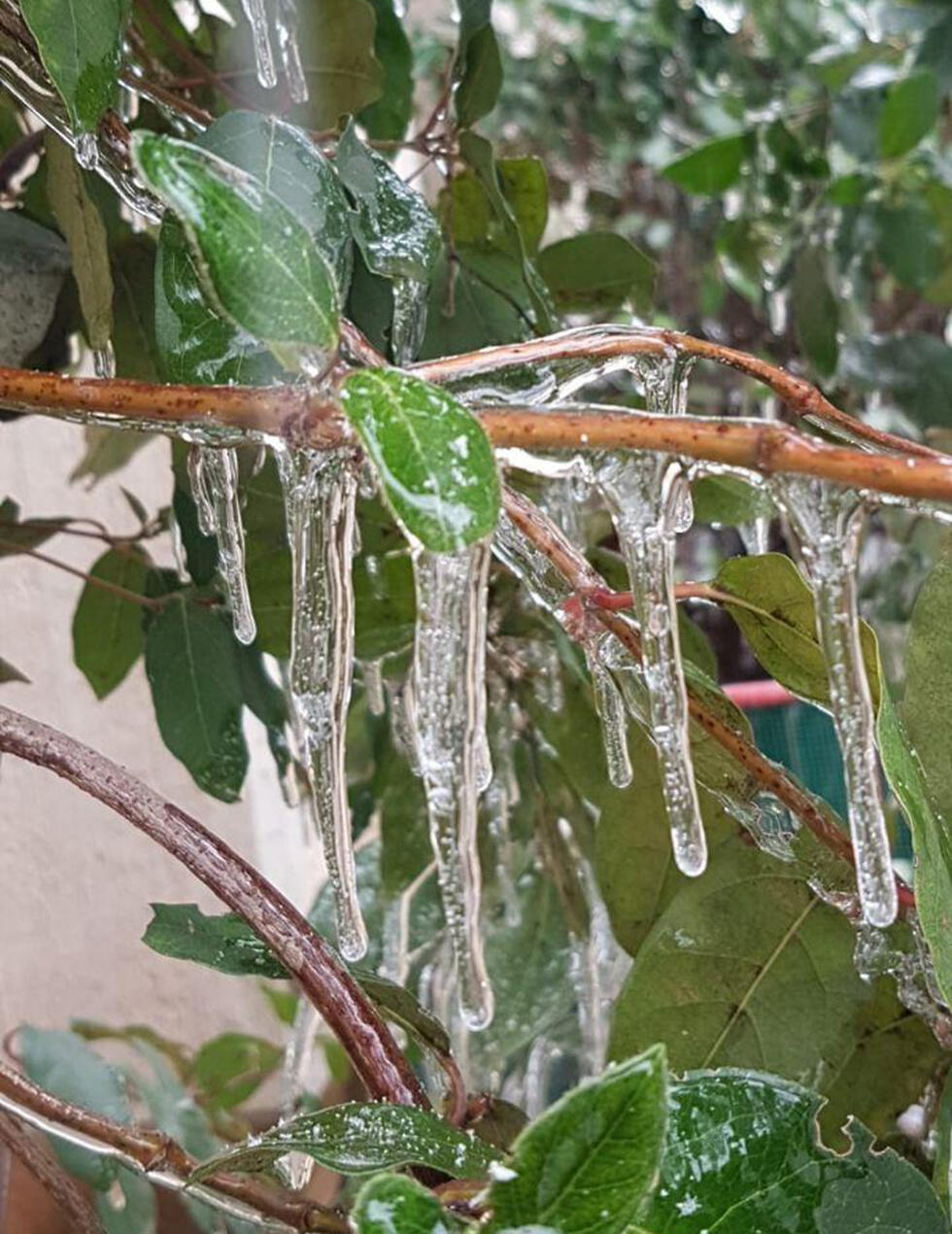 Сосульки в кибуце Эль-Ром. Фото: Йосеф Реувени