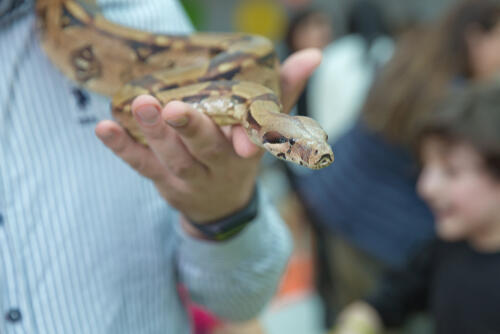 Фото: shutterstock