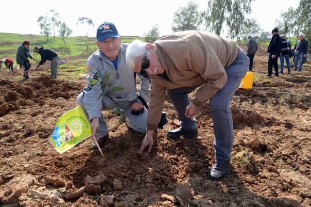 Фото: Дуду Гриншпан, пресс-служба ККЛ (Фото: Дуду Гриншпан, пресс-служба ККЛ) Фото: Дуду Гриншпан, пресс-служба ККЛ