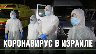 Фото: Моти Кимхи