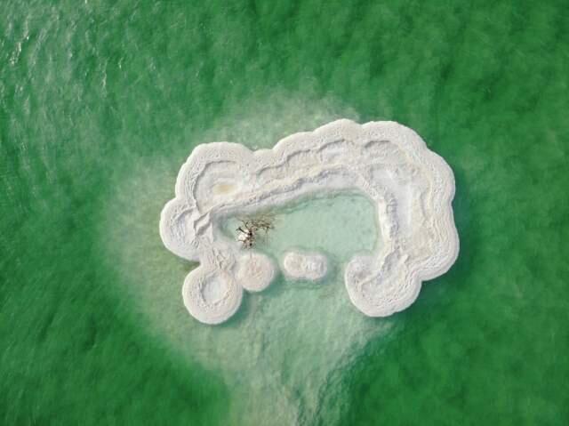 Одинокое дерево, Мертвое море. Фото: Эльор Шемеш (Фото: Эльор Шемеш) Одинокое дерево, Мертвое море. Фото: Эльор Шемеш