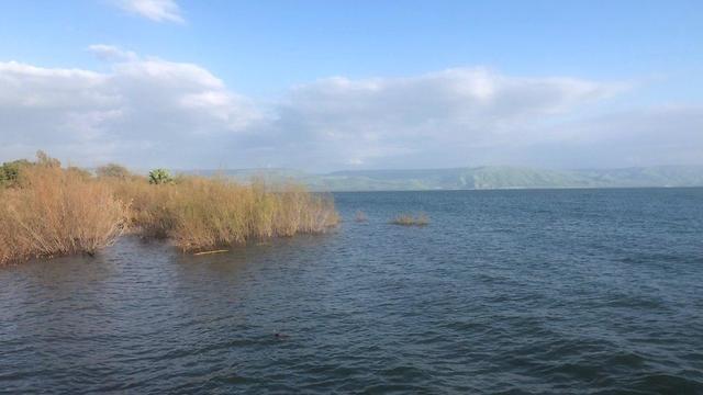 Кинерет полон. Фото: Шираз Вануну