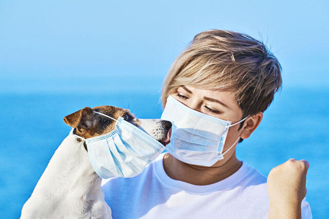 Фото: Shutterstock
