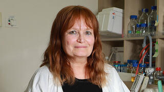 פרופ' גליה רהב מנהלת המכון למחלות זיהומיות בבית החולים שיבא