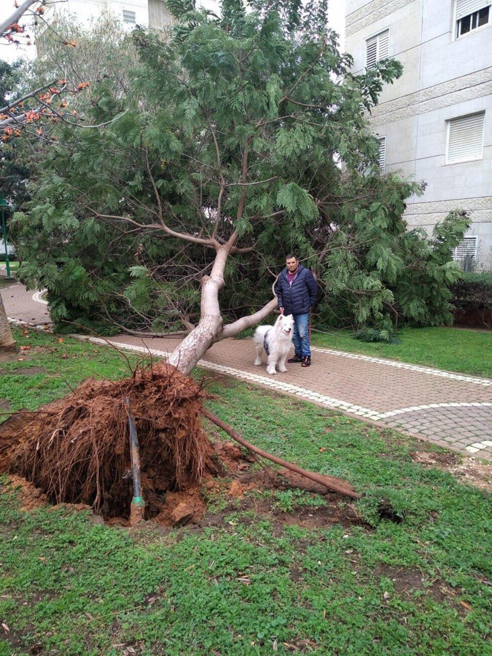 Петах-Тиква после бури. Фото: Амос Бадаш