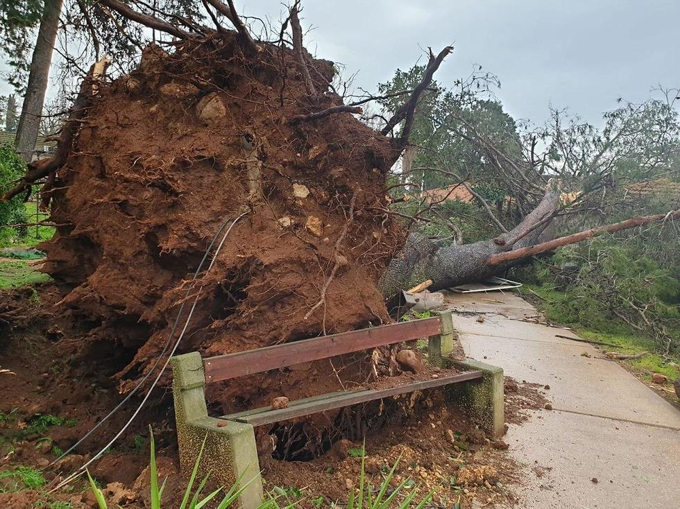 Ущерб после бури. Фото: пресс-служба совета Верхней Галилеи