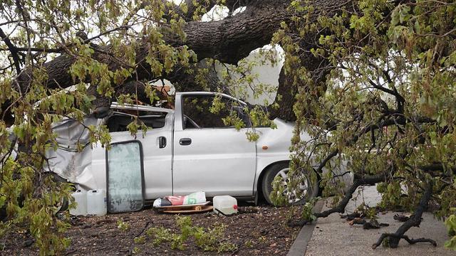 Разрушения в лесу Таль. Фото: Эфи Шрир