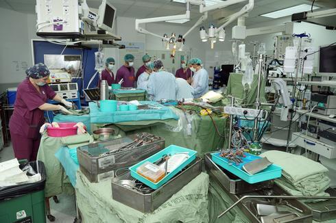 ניתוח הסרת גידול כבד שיבא (המרכז הרפואי שיבא) ניתוח הסרת גידול כבד שיבא