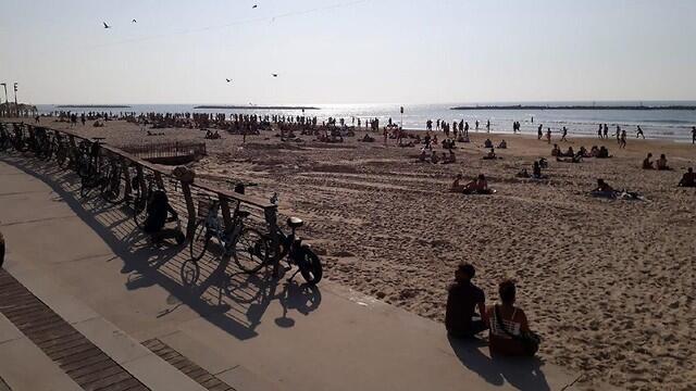  Люди на пляже Тель-Авива. Фото: Омри Ритер