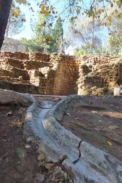 Часть парка до сих не отремонтирована. Фото: Леон Левитас