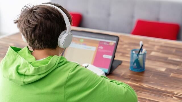 Дистанционное обучение. Фото: shutterstock