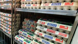 יש ביצים ברמי לוי באשקלון