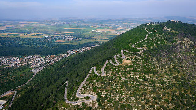 На горе Тавор. Фото: Исраэль Бардуго (צילום: ישראל ברדוגו) На горе Тавор. Фото: Исраэль Бардуго