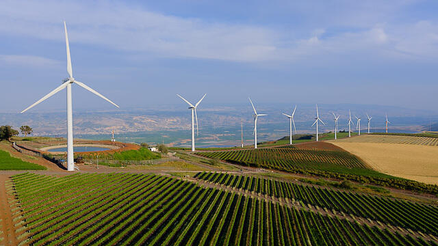 Это не Голландия, это Голаны. Фото: Исраэль Бардуго (צילום: ישראל ברדוגו) Это не Голландия, это Голаны. Фото: Исраэль Бардуго