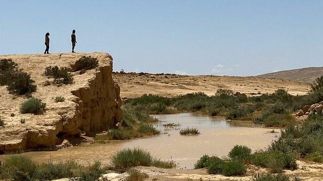 Ручей Бокер в Негеве. Фото: Эран Дорон (צילום: ערן דורון) Ручей Бокер в Негеве. Фото: Эран Дорон