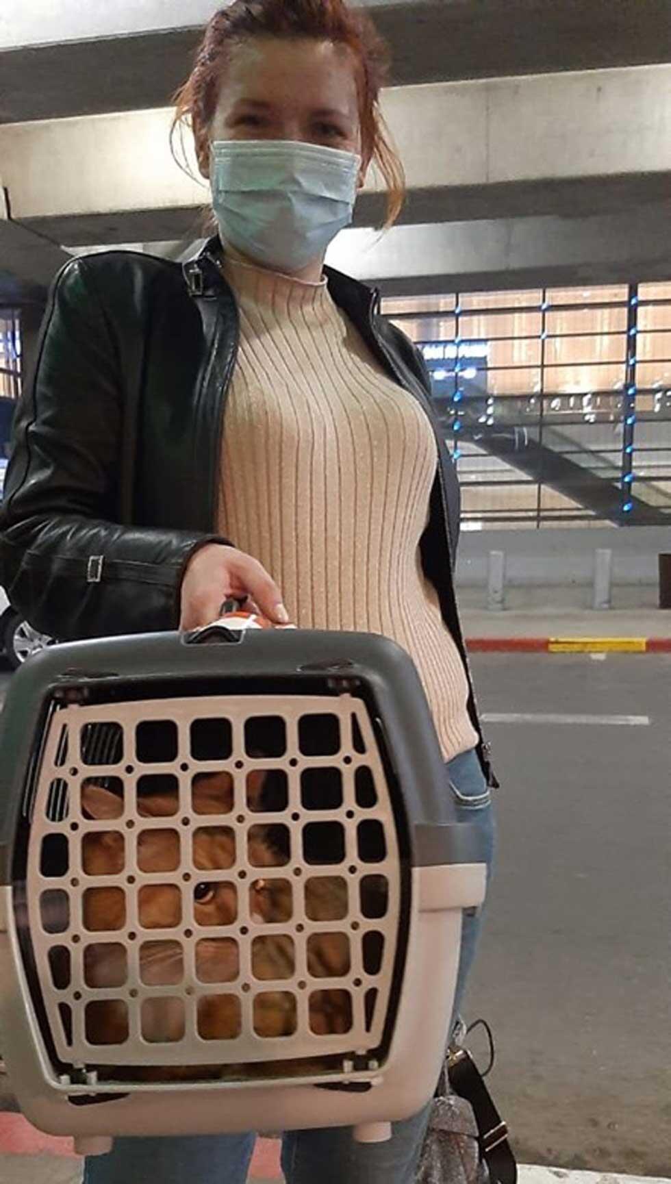 У всех репатриантов начинается новая жизнь в стране, включая четвероногих. Фото: Сохнут (Сохнут одноразово Фото предоставлено пресс-службой Сохнута ) У всех репатриантов начинается новая жизнь в стране, включая четвероногих. Фото: Сохнут