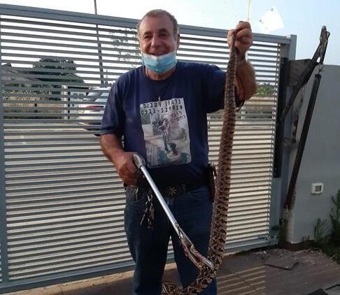 Гидеон Даабуль с пойманной гадюкой. Фото из личного архива (Гидеон Даабуль с пойманной гадюкой. Фото из личного архива) Гидеон Даабуль с пойманной гадюкой. Фото из личного архива