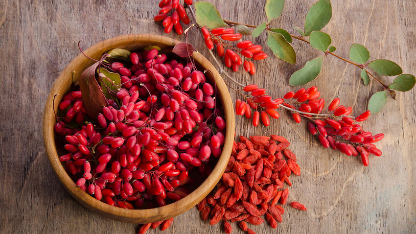 Ягоды годжи (Фото: shutterstock) גוג'י ברי