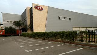 מפעל ויליפוד