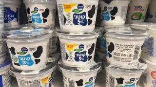 קוטג' ב-7.90 ש': קרפור ועוד רשתות הקפיצו מחירים