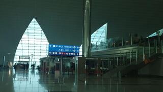 "עשו לנו בשדה התעופה רנטגן לבדיקת איברי המין"