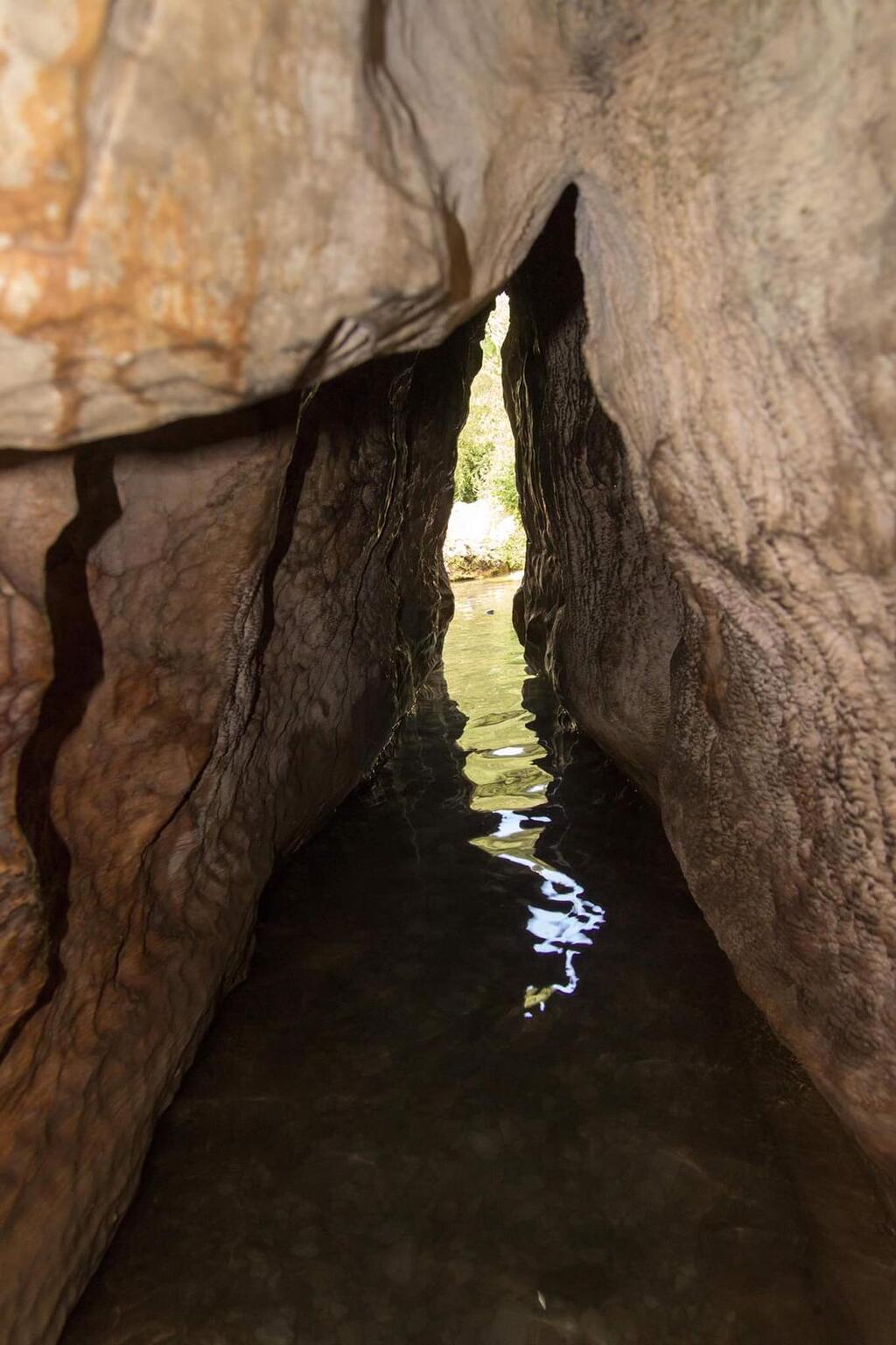 הניקבה בעין טמיר