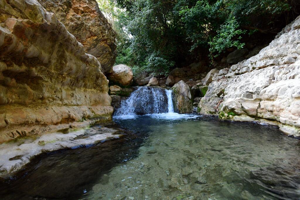 הנביעה של עין טמיר